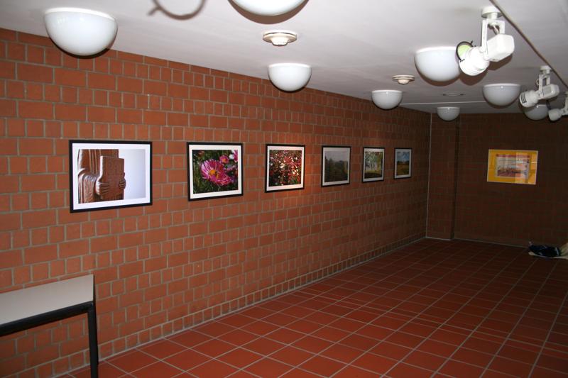 Galeriebild 1