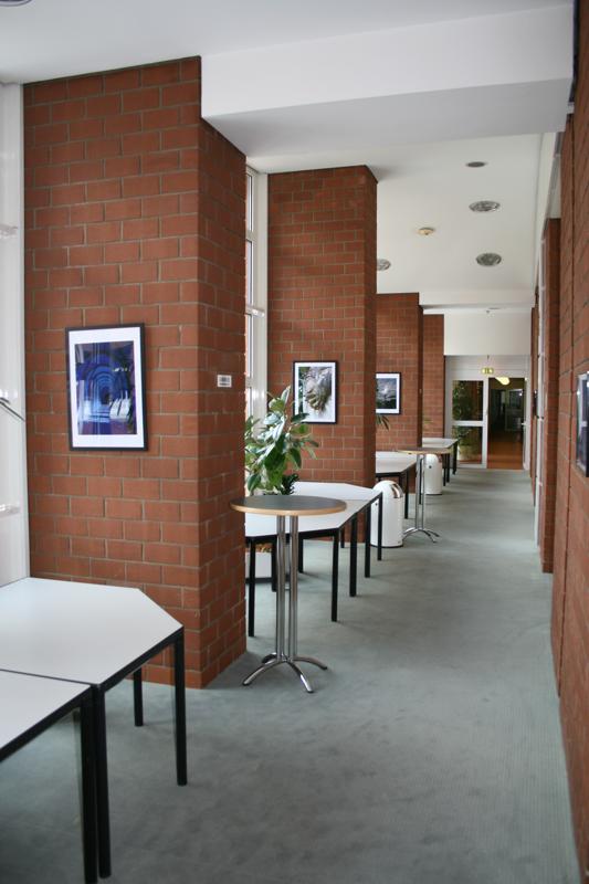 Galeriebild 2