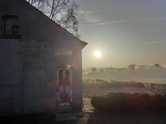 Galeriebild 4