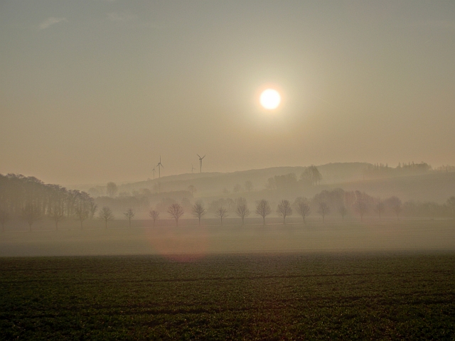 Galeriebild 7