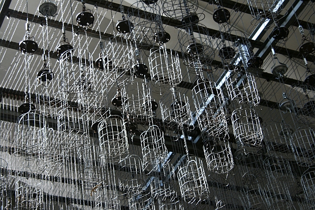 Galeriebild 10