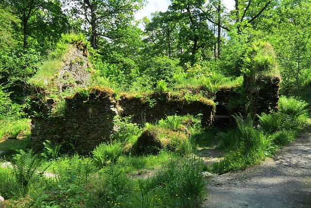 Galeriebild 21