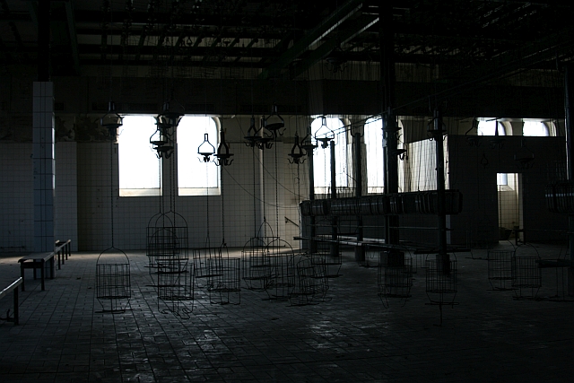 Galeriebild 26_1 Wechsel