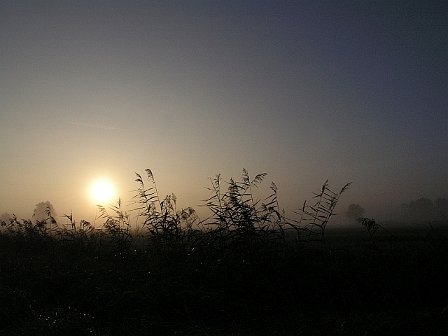 Galeriebild 7