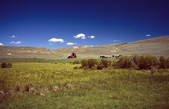 Galeriebild 10