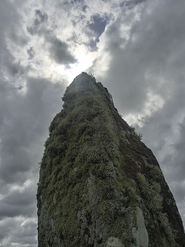 Galeriebild 8