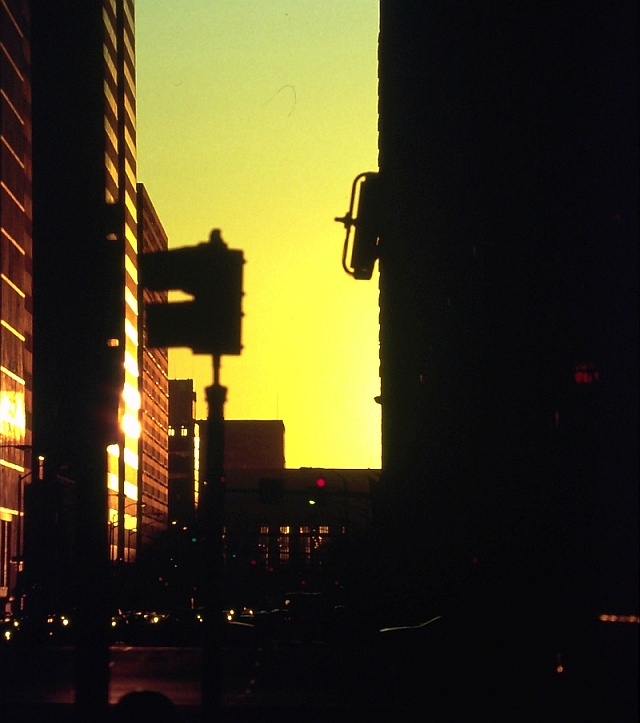 Galeriebild 8